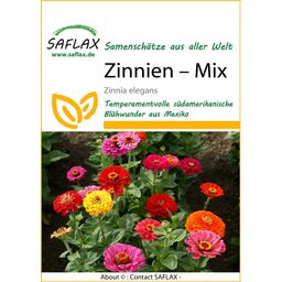 Saflax Zinnia - Mélange