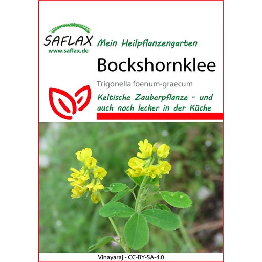 saflax-bockshornklee-1-packung-bloomling-deutschland