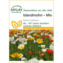 Saflax Izlandi mák - Mix
