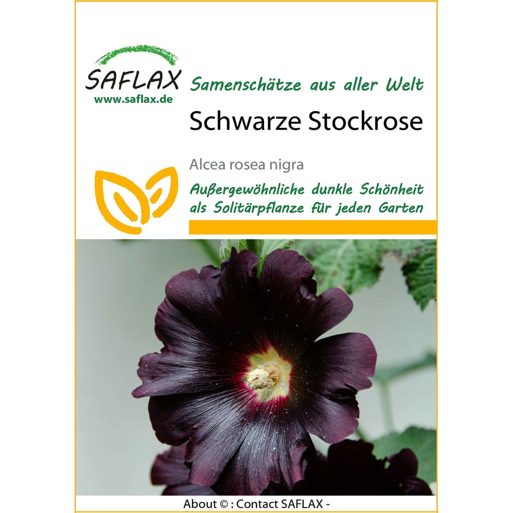 Saflax Black Hollyhock, 1 Package - Bloomling