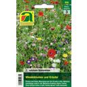AUSTROSAAT Wild Flowers and Herbs - 1 Pkg