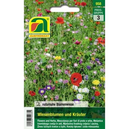 AUSTROSAAT Wild Flowers and Herbs - 1 Pkg