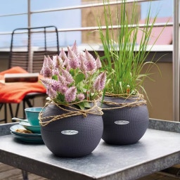 Lechuza PURO Table Planter Color 20 - Slate Grey