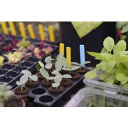 Nelson Garden Mini Seedling Tray - 3 Pack