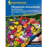 Kiepenkerl Mix kvetov "Sonnenkinder Mix"