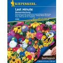 Kiepenkerl Blomstermix Odlingsmatta - Last Minute