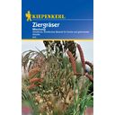 Kiepenkerl Ornamental Grasses Mix - 1 Pkg