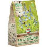 Organic Bitter Lupine for Soil Improvement
