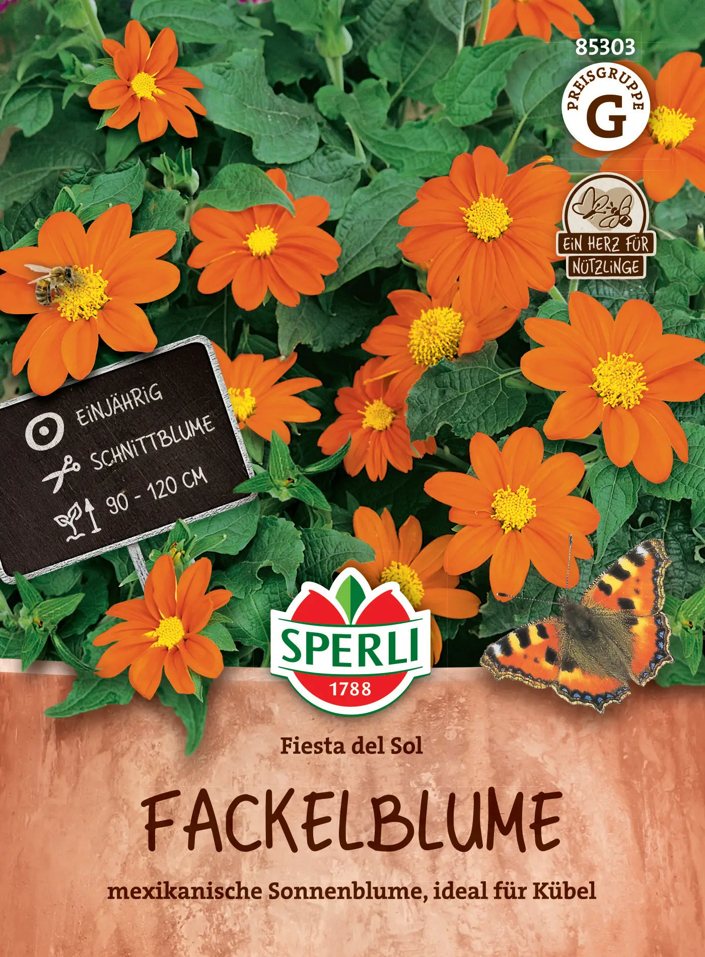 Sperli Fackelblume 