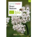 Samen Maier Organic Wildflower - Medicinal Valerian - 1 Pkg