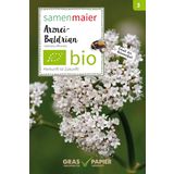 Samen Maier Organic Wildflower - Medicinal Valerian
