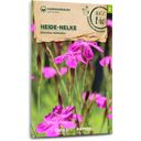 Samen Maier Bio Wildblume Heide-Nelke