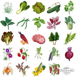 Calendario dell'Avvento con Semi Bio - Your Garden in the City