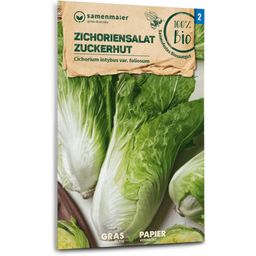Samen Maier Organic Chicory Salad 