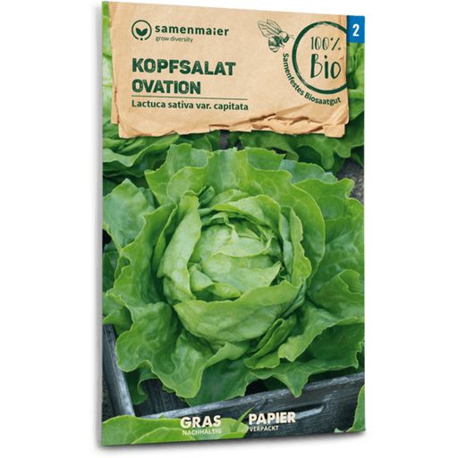 Samen Maier Organic Ovation Lettuce