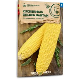 Samen Maier Organic Sweet Corn "Golden Bantam"