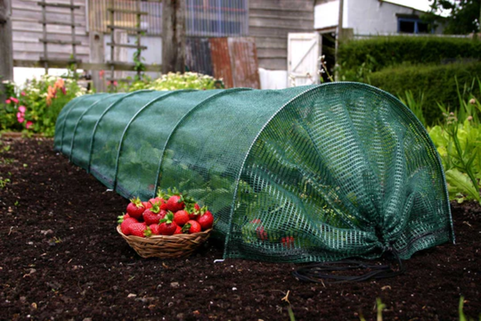 Haxnicks Easy Net Tunnel