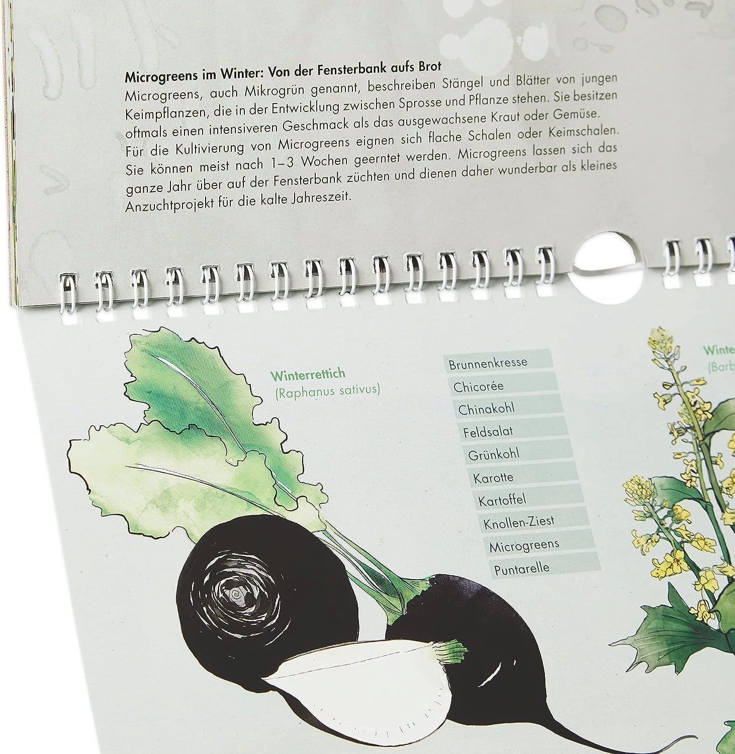 Own Grown Saisonkalender