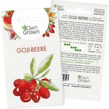 Own Grown Goji Berry Seeds