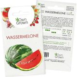 Own Grown Saatgut "Wassermelone"