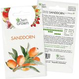Own Grown Saatgut "Sanddorn"