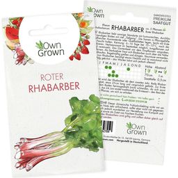 Own Grown Semences de Rhubarbe