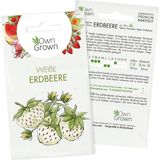 Own Grown Saatgut "Weiße Erdbeere"