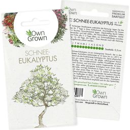 Own Grown Sneeuw Eucalyptus Zaden