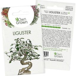 Own Grown Liguster Zaden