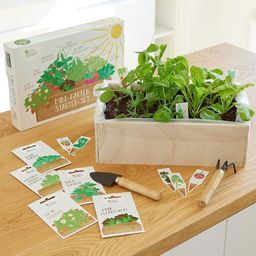 Own Grown Set de Iniciación - Mini Jardín