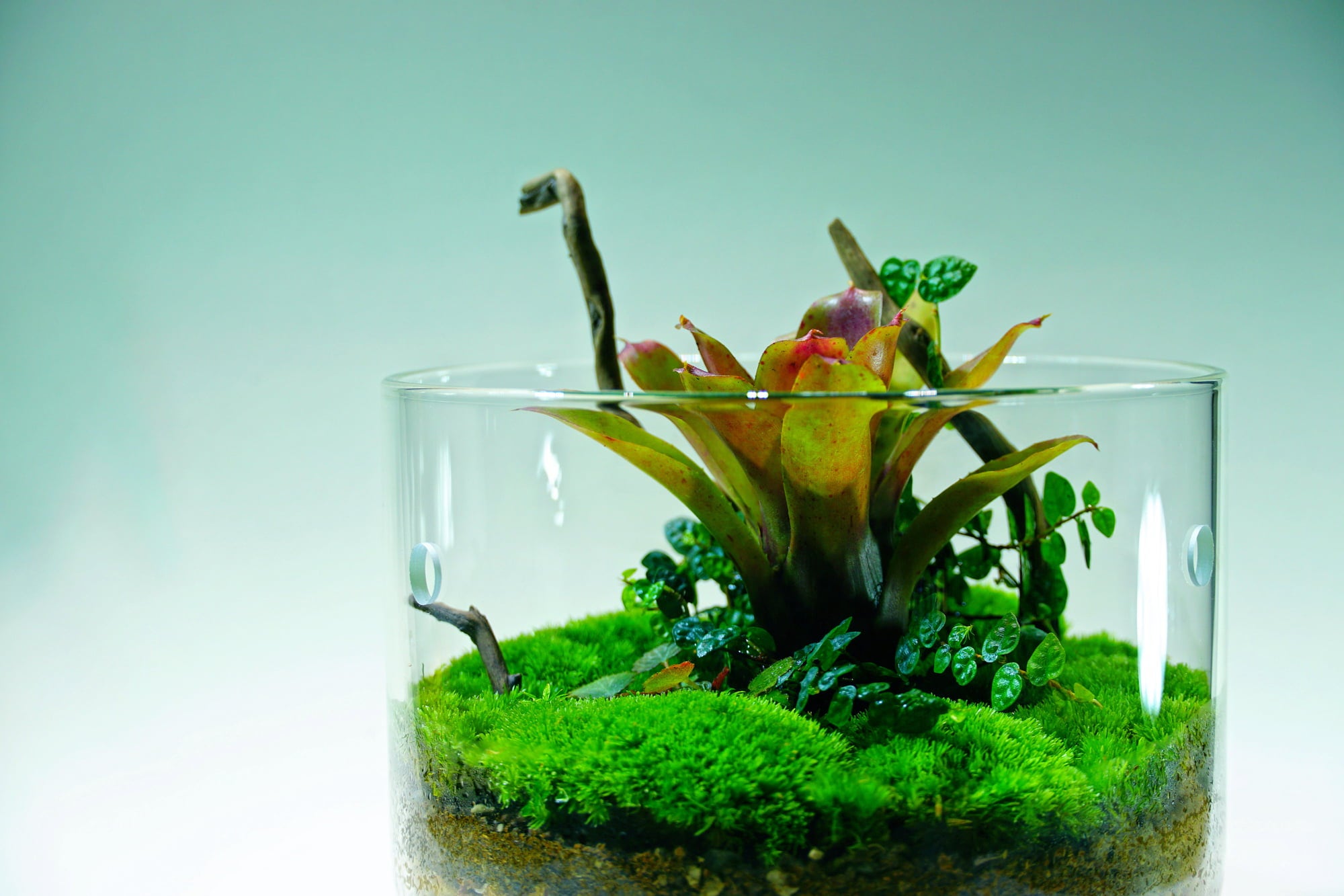Bioloark Luji Glass Cup MY-180 - MY-180