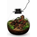 Bio Bottle Modell PD170 (Senza Connettore USB) - 170