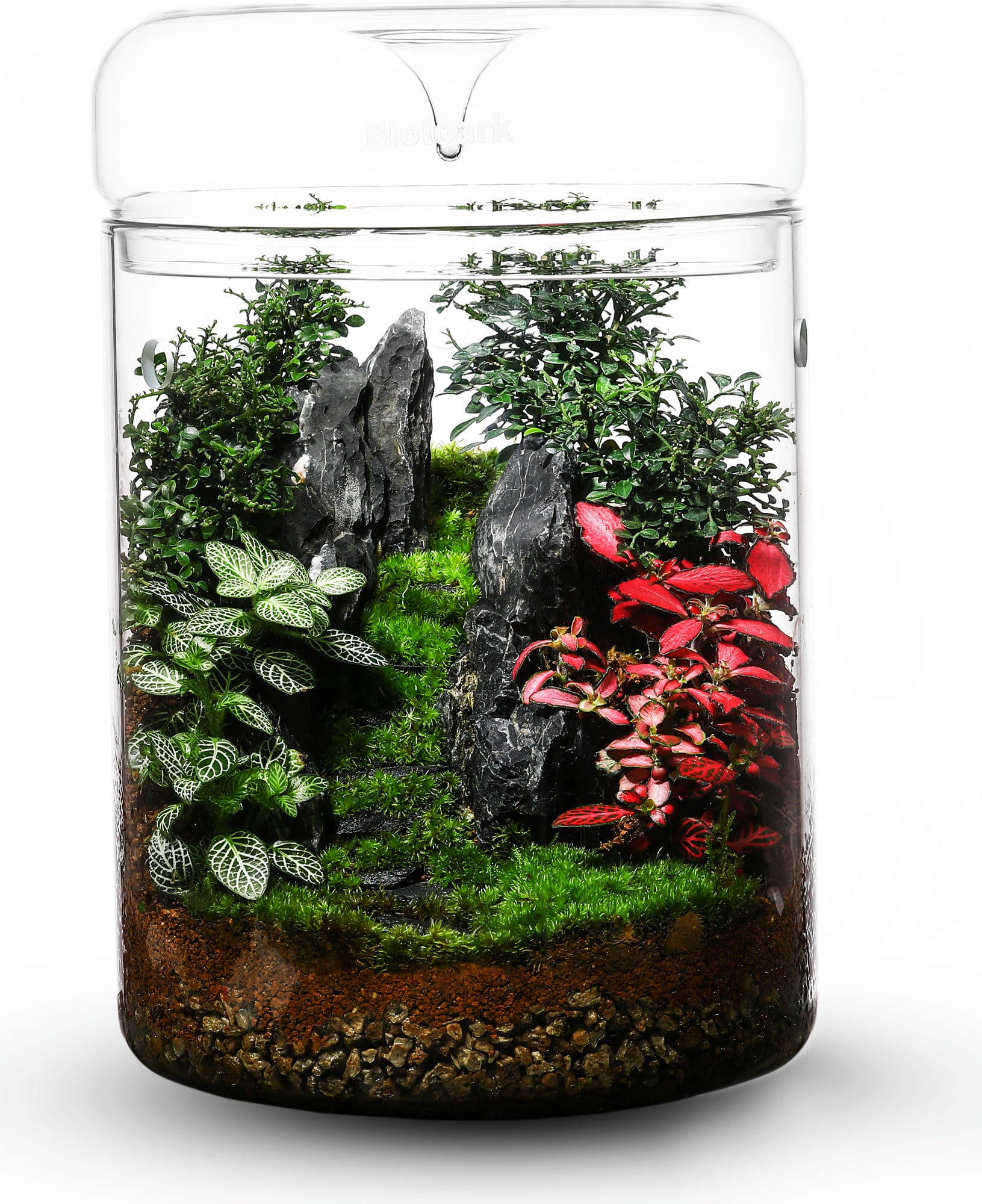 Bioloark Luji Glass Cup MY-180H - MY-180H