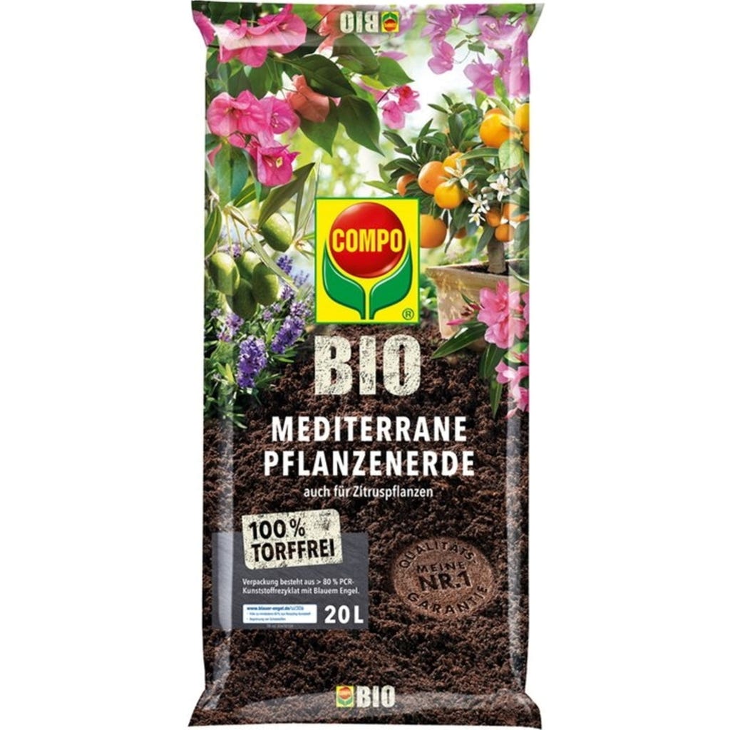 elefantenfuß künstlich Elefantenfuß (Beaucarnea recurvata) kaufen main image 0