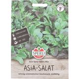 Salat Mischung "Asia Spicy Green Mix"