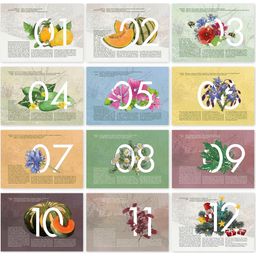 Own Grown Ročný kalendár s osivami