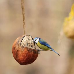 Esschert Design Jedzenie dla ptaków - nadziewany kokos
