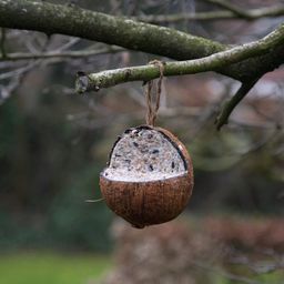 Esschert Design Vogelfutter - Gefüllte Kokosnuss