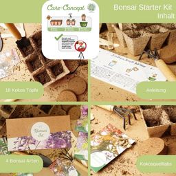 LOVEPLANTS Bonsai Starter Kit