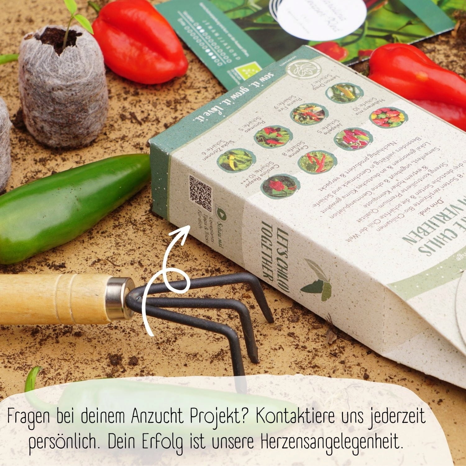 Loveplants Assortiment de Graines Bio - Piments 