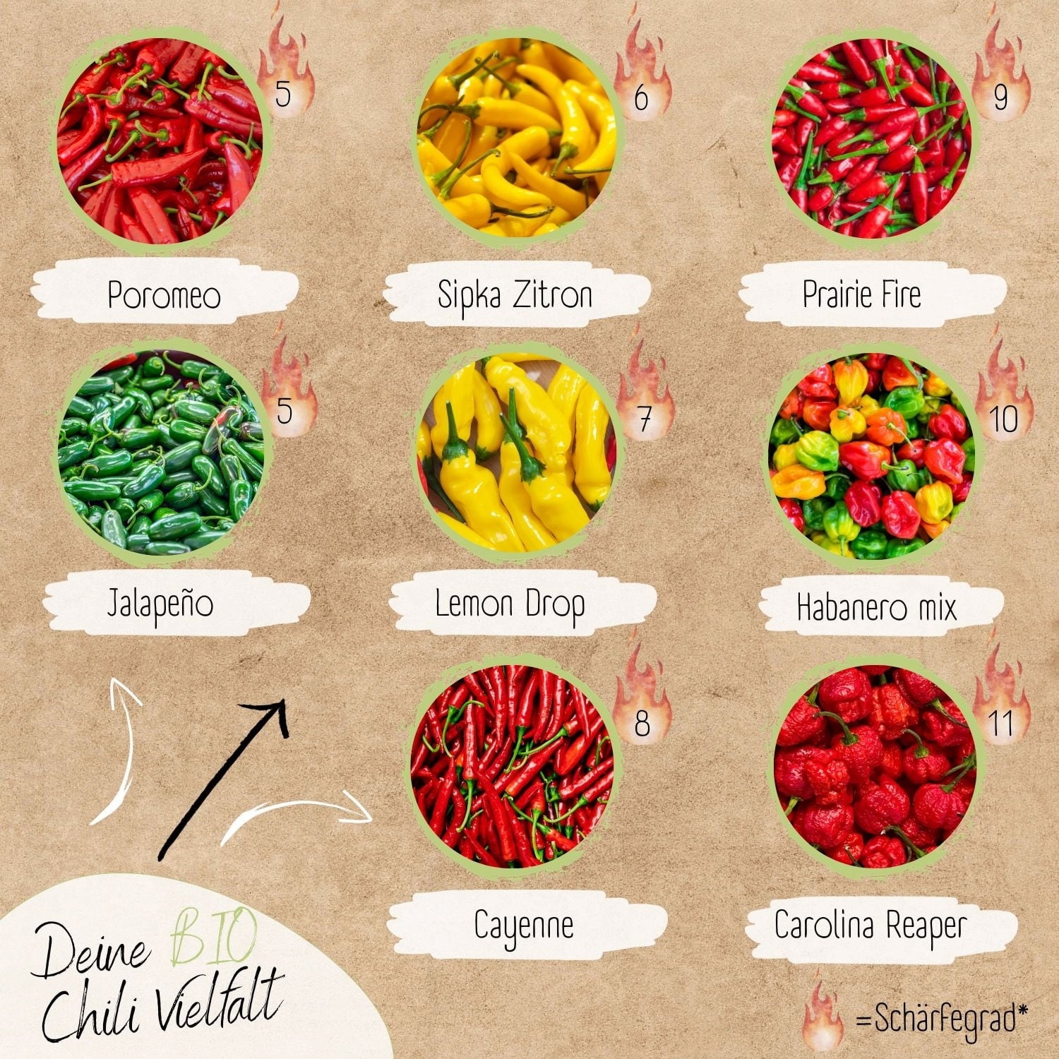 Loveplants Assortiment de Graines Bio - Piments 