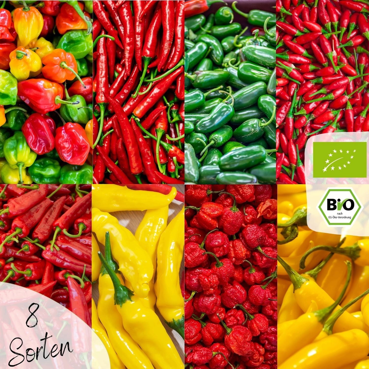 Loveplants Assortiment de Graines Bio - Piments 
