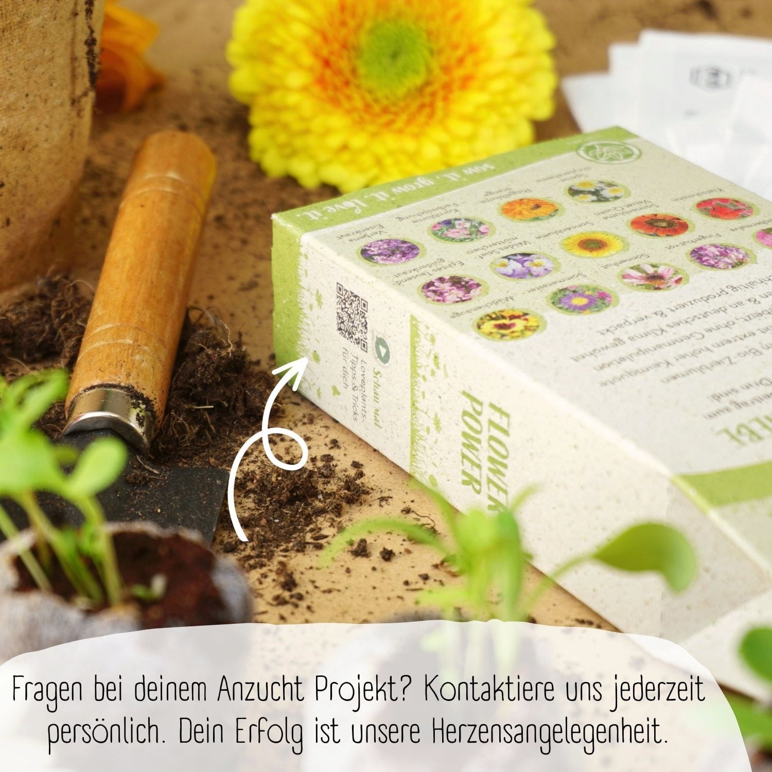 Loveplants Organic Seed Set - Flowers