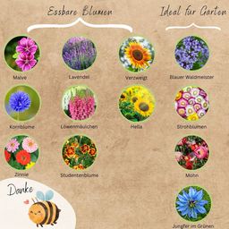 LOVEPLANTS Bio Bienen Blumensamen Set