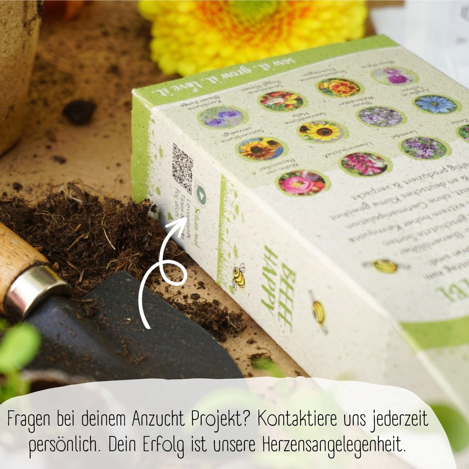Loveplants Set bio semen rož za čebele