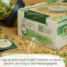 Loveplants Organic Seed Set - Sprouts