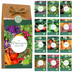 Organic Vegetable Seed Set - For Raised Beds & Balconies