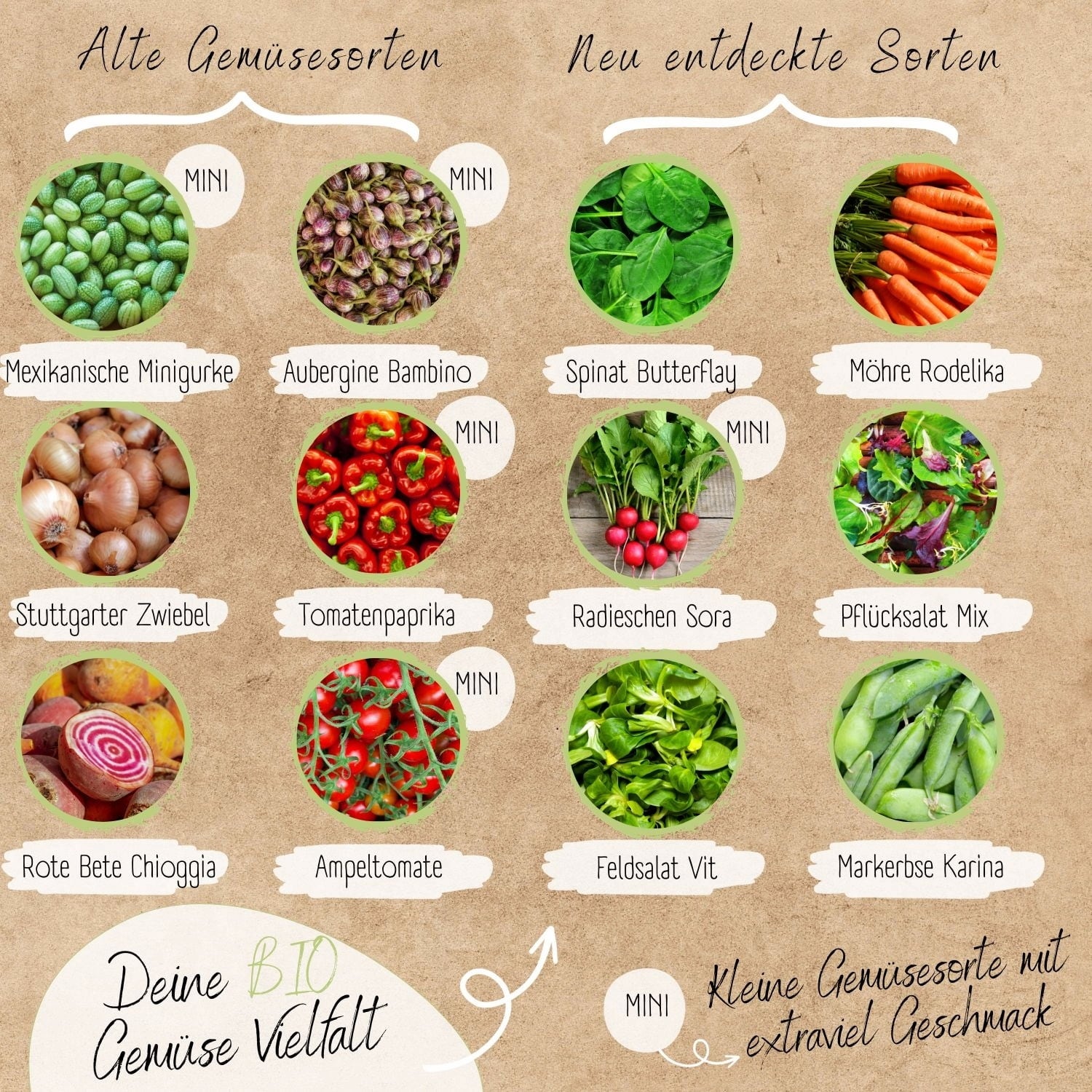 Assortiment de Graines Bio - Légumes pour Balcon & Potager Surélevé