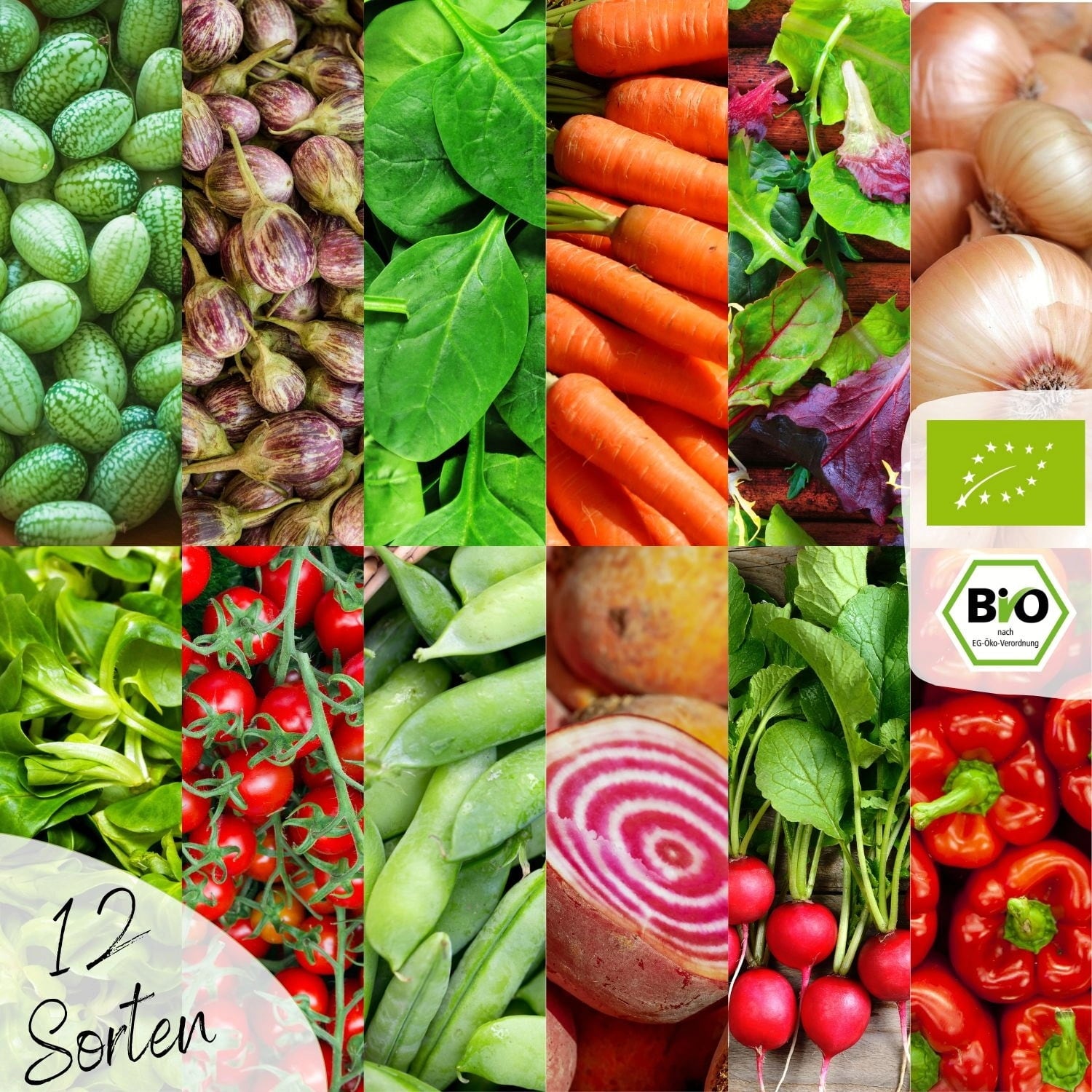Assortiment de Graines Bio - Légumes pour Balcon & Potager Surélevé