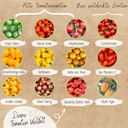 Loveplants Organic Seed Set - Tomatoes